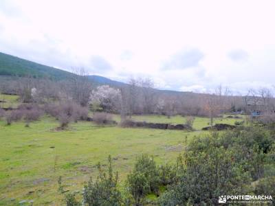 Pueblos Negros de la arquitectura negra - Sierra Norte de Guadalajara; gredos laguna grande visitas 